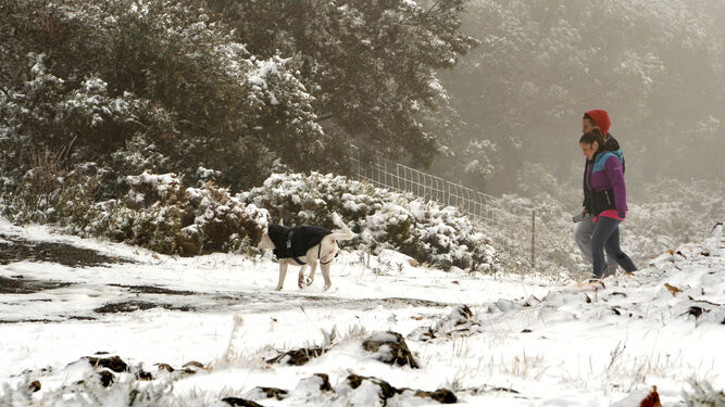Una pareja paseando con su perro en la nieve caída ayer en Grazalema.